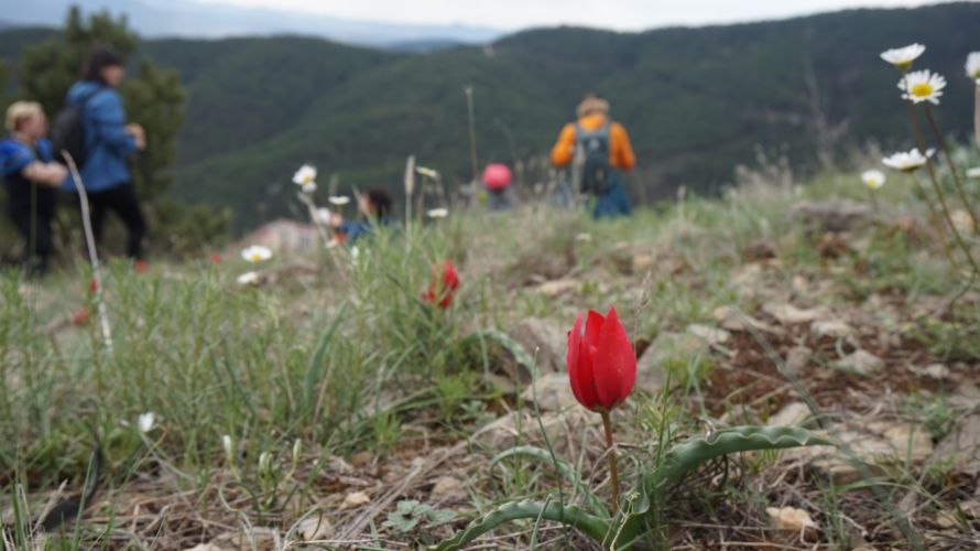 Gezi Fotoğraf Çekimi